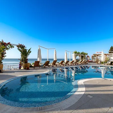 Perla First Line נסבר